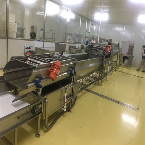 辣椒涡流震动清洗机选购指南 深度解析亿马食品机械与行业优选方案